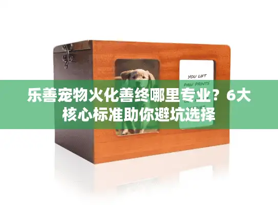 乐善宠物火化善终哪里专业？6大核心标准助你避坑选择