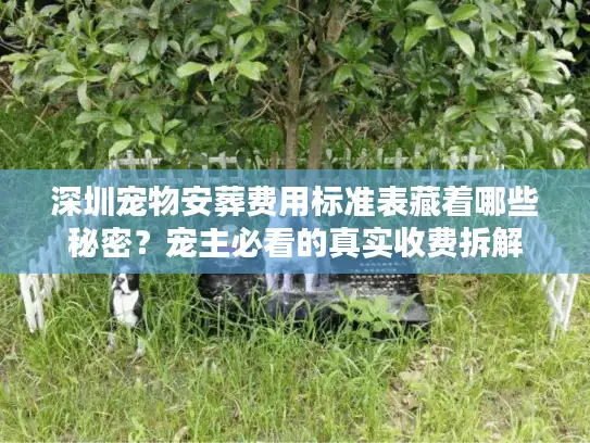 深圳宠物安葬费用标准表藏着哪些秘密？宠主必看的真实收费拆解