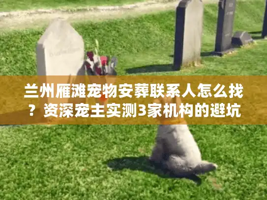 兰州雁滩宠物安葬联系人怎么找？资深宠主实测3家机构的避坑与安心指南