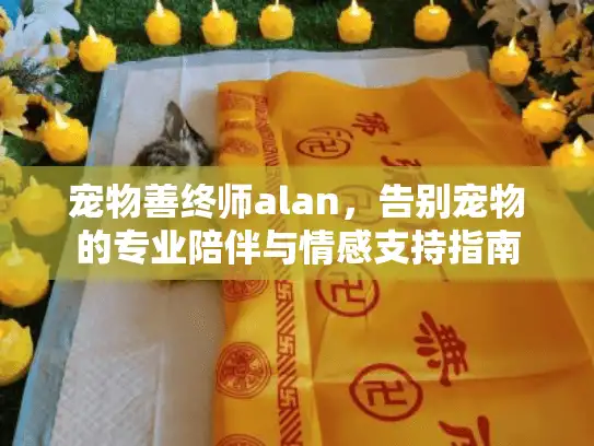 宠物善终师alan，告别宠物的专业陪伴与情感支持指南