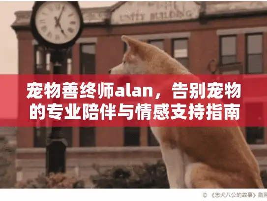 宠物善终师alan，告别宠物的专业陪伴与情感支持指南