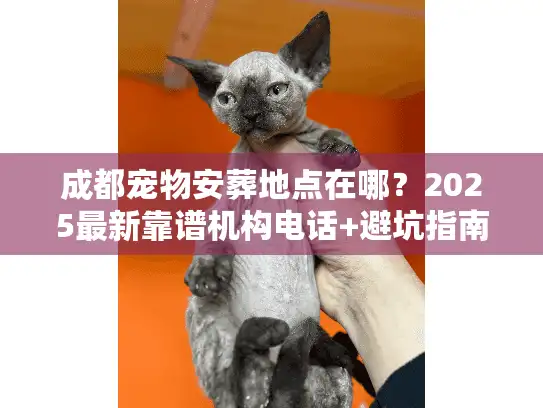 成都宠物安葬地点在哪？2025最新靠谱机构电话+避坑指南