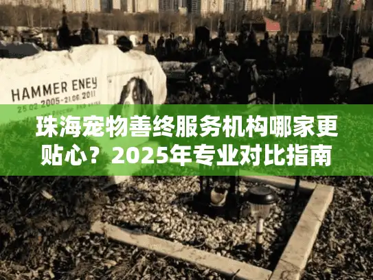 珠海宠物善终服务机构哪家更贴心？2025年专业对比指南