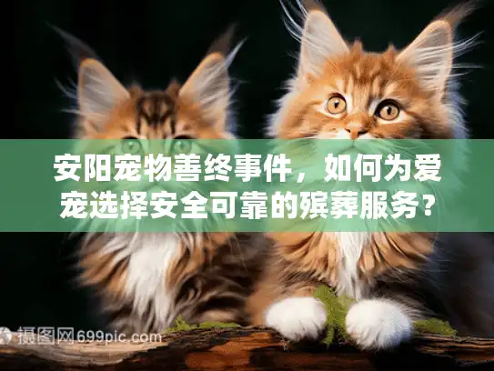 安阳宠物善终事件，如何为爱宠选择安全可靠的殡葬服务？