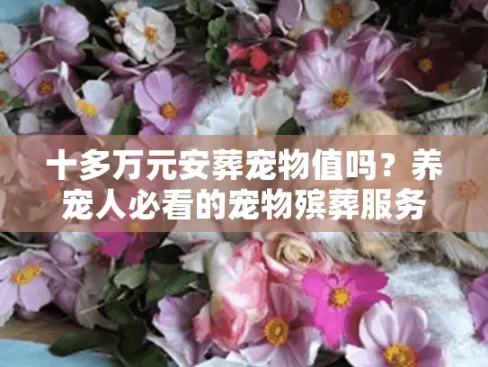 十多万元安葬宠物值吗？养宠人必看的宠物殡葬服务真实选择逻辑