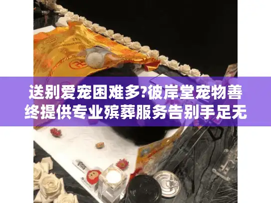 送别爱宠困难多?彼岸堂宠物善终提供专业殡葬服务告别手足无措