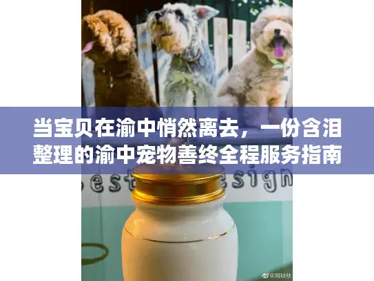 当宝贝在渝中悄然离去，一份含泪整理的渝中宠物善终全程服务指南