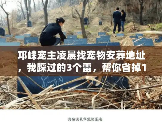 邛崃宠主凌晨找宠物安葬地址，我踩过的3个雷，帮你省掉10小时焦虑