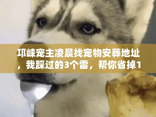 邛崃宠主凌晨找宠物安葬地址，我踩过的3个雷，帮你省掉10小时焦虑