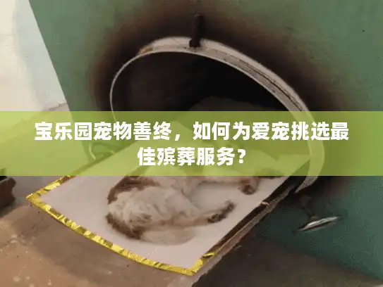 宝乐园宠物善终，如何为爱宠挑选最佳殡葬服务？