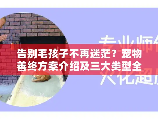告别毛孩子不再迷茫？宠物善终方案介绍及三大类型全解析