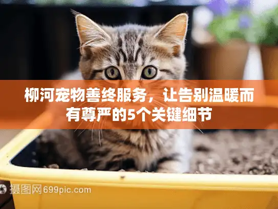 柳河宠物善终服务，让告别温暖而有尊严的5个关键细节