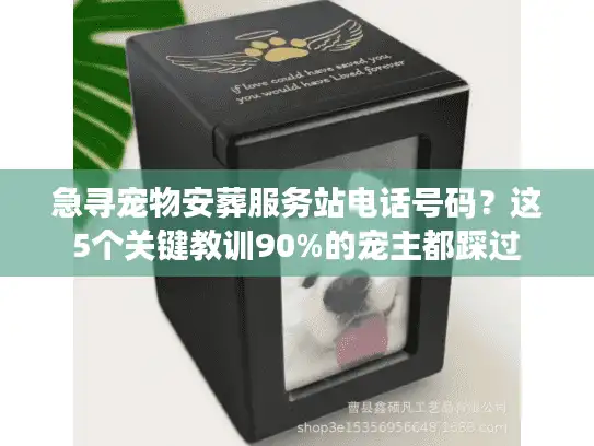 急寻宠物安葬服务站电话号码？这5个关键教训90%的宠主都踩过