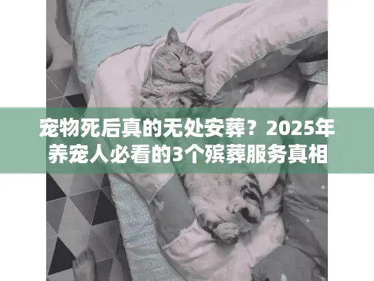 宠物死后真的无处安葬？2025年养宠人必看的3个殡葬服务真相