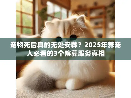 宠物死后真的无处安葬？2025年养宠人必看的3个殡葬服务真相