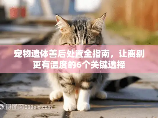 宠物遗体善后处置全指南，让离别更有温度的6个关键选择