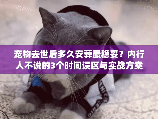 宠物去世后多久安葬最稳妥？内行人不说的3个时间误区与实战方案