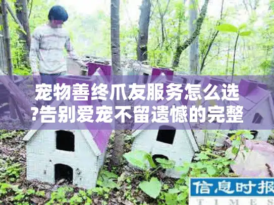 宠物善终爪友服务怎么选?告别爱宠不留遗憾的完整指南