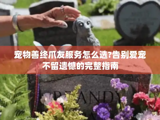 宠物善终爪友服务怎么选?告别爱宠不留遗憾的完整指南