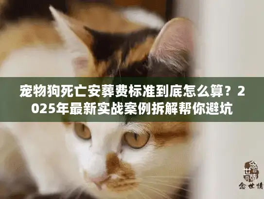 宠物狗死亡安葬费标准到底怎么算？2025年最新实战案例拆解帮你避坑