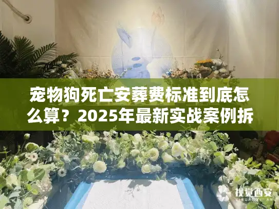 宠物狗死亡安葬费标准到底怎么算？2025年最新实战案例拆解帮你避坑