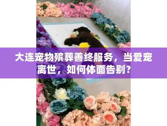 大连宠物殡葬善终服务，当爱宠离世，如何体面告别？
