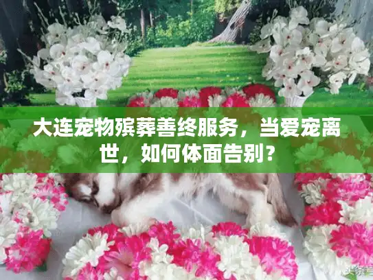 大连宠物殡葬善终服务，当爱宠离世，如何体面告别？