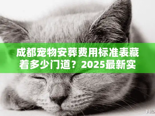 成都宠物安葬费用标准表藏着多少门道？2025最新实战拆解+避坑指南