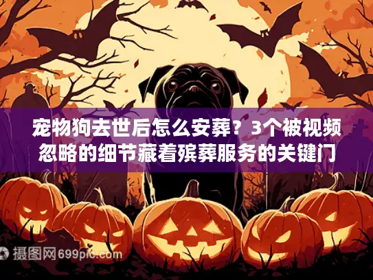 宠物狗去世后怎么安葬？3个被视频忽略的细节藏着殡葬服务的关键门道