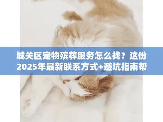 城关区宠物殡葬服务怎么找？这份2025年最新联系方式+避坑指南帮你少走弯路