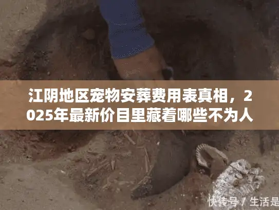 江阴地区宠物安葬费用表真相，2025年最新价目里藏着哪些不为人知的门道？