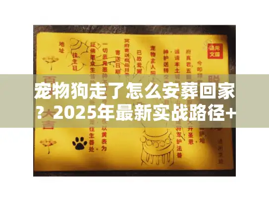 宠物狗走了怎么安葬回家？2025年最新实战路径+避坑清单
