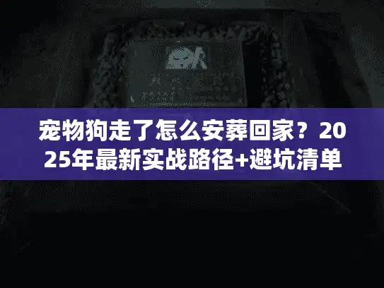 宠物狗走了怎么安葬回家？2025年最新实战路径+避坑清单