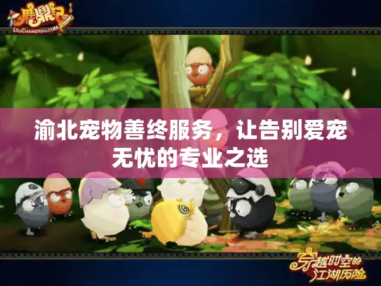 渝北宠物善终服务，让告别爱宠无忧的专业之选