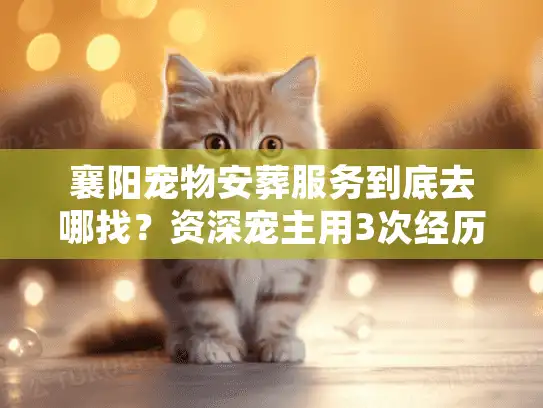 襄阳宠物安葬服务到底去哪找？资深宠主用3次经历帮你避坑