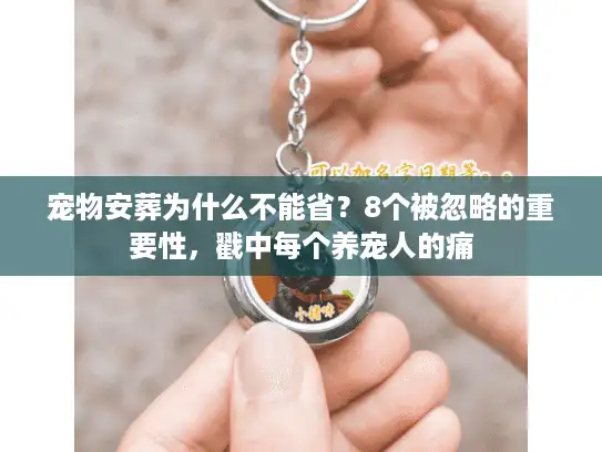 宠物安葬为什么不能省？8个被忽略的重要性，戳中每个养宠人的痛