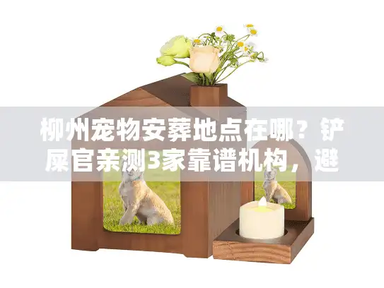 柳州宠物安葬地点在哪？铲屎官亲测3家靠谱机构，避坑指南藏在这里