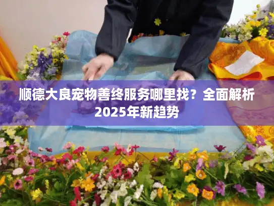 顺德大良宠物善终服务哪里找？全面解析2025年新趋势