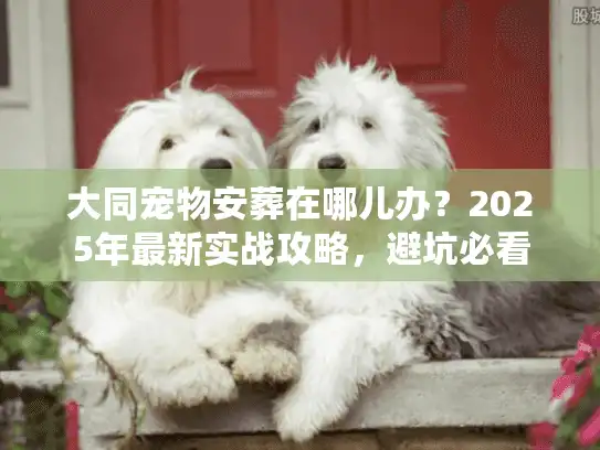 大同宠物安葬在哪儿办？2025年最新实战攻略，避坑必看