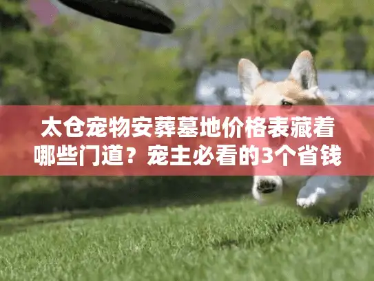 太仓宠物安葬墓地价格表藏着哪些门道？宠主必看的3个省钱真相+2025最新行情