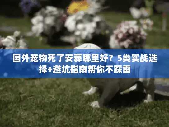 国外宠物死了安葬哪里好？5类实战选择+避坑指南帮你不踩雷