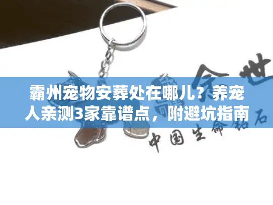 霸州宠物安葬处在哪儿？养宠人亲测3家靠谱点，附避坑指南