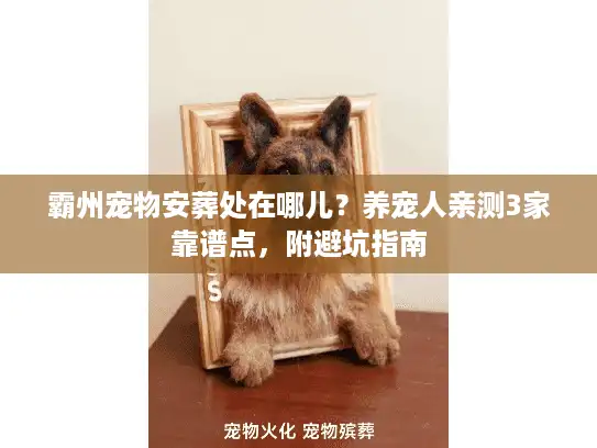 霸州宠物安葬处在哪儿？养宠人亲测3家靠谱点，附避坑指南