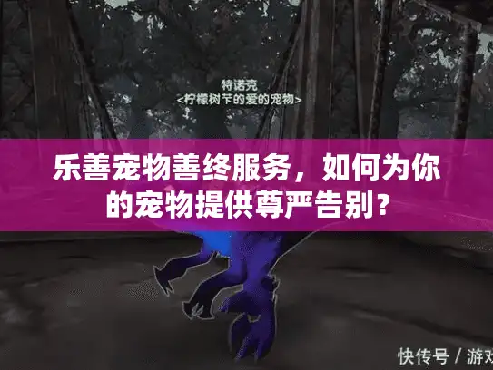 乐善宠物善终服务，如何为你的宠物提供尊严告别？