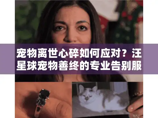 宠物离世心碎如何应对？汪星球宠物善终的专业告别服务帮您善终爱宠