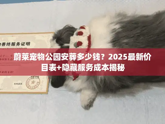 蔚莱宠物公园安葬多少钱？2025最新价目表+隐藏服务成本揭秘