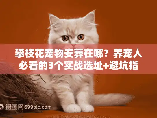 攀枝花宠物安葬在哪？养宠人必看的3个实战选址+避坑指南