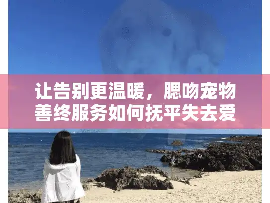让告别更温暖，腮吻宠物善终服务如何抚平失去爱宠的伤痛