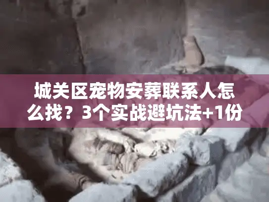城关区宠物安葬联系人怎么找？3个实战避坑法+1份靠谱渠道清单速藏