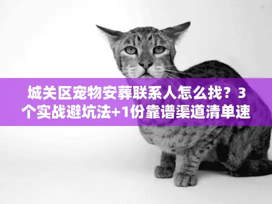 城关区宠物安葬联系人怎么找？3个实战避坑法+1份靠谱渠道清单速藏